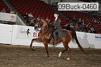 09buck-0460 proof