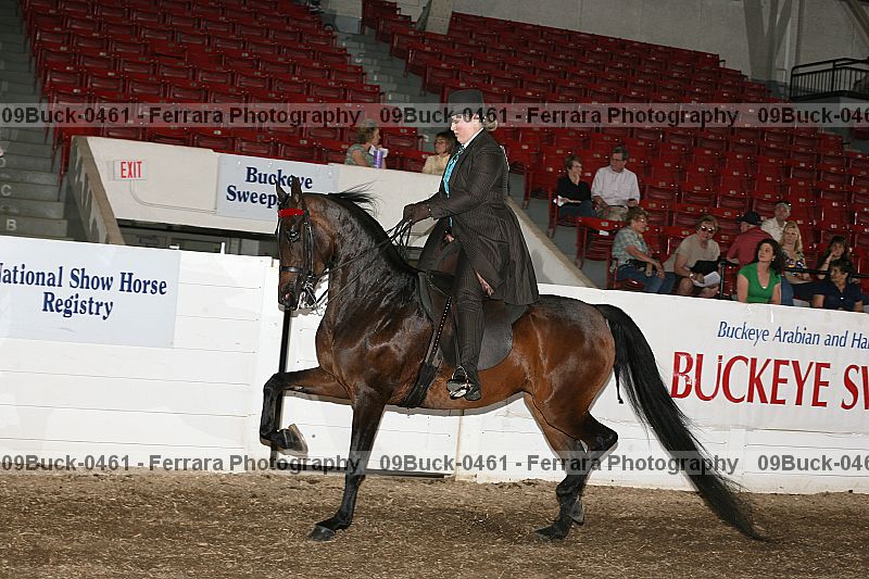 Proof 09buck-0461