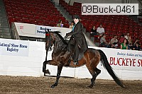 09buck-0461 proof