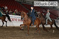 09buck-0462 proof