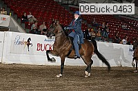 09buck-0463 proof