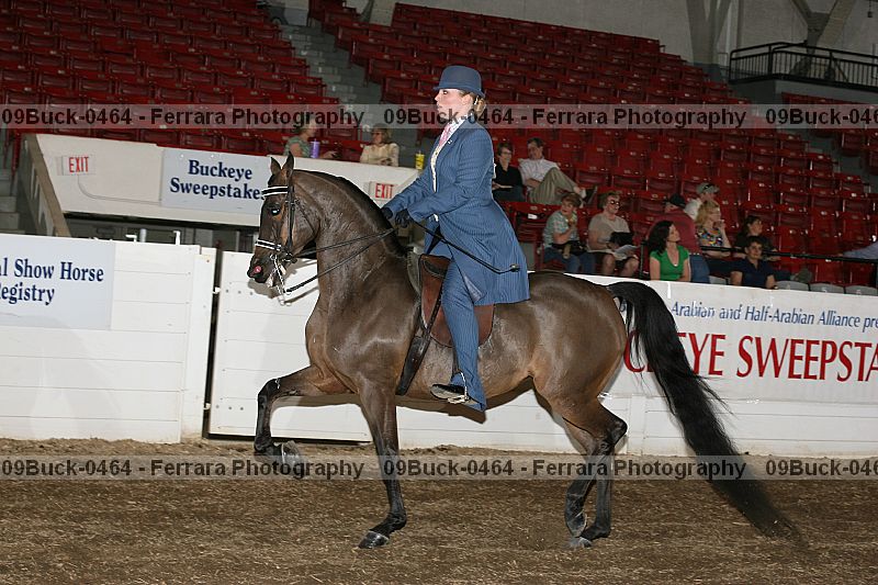Proof 09buck-0464