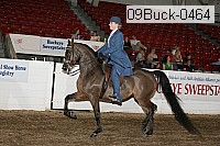 09buck-0464 proof