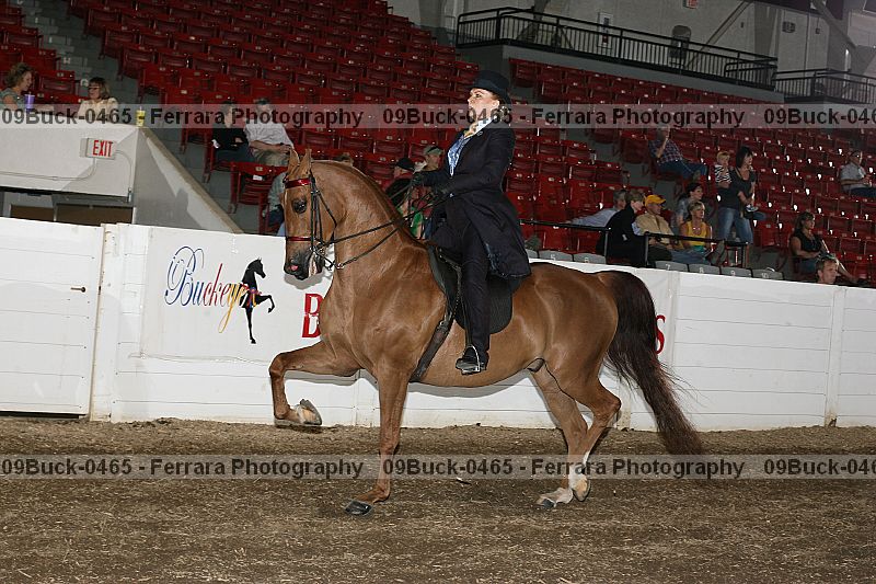 Proof 09buck-0465