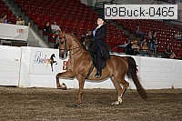 09buck-0465 proof