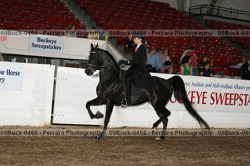 Proof 09buck-0466