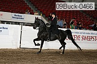 09buck-0466 proof