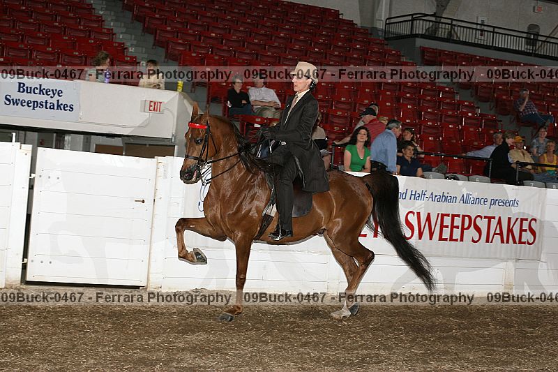 Proof 09buck-0467