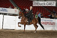 09buck-0467 proof