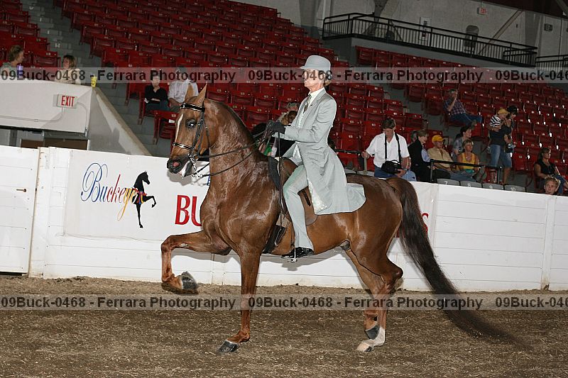 Proof 09buck-0468