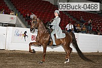 09buck-0468 proof
