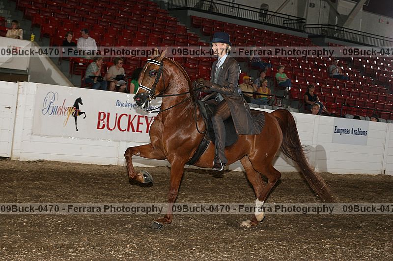 Proof 09buck-0470