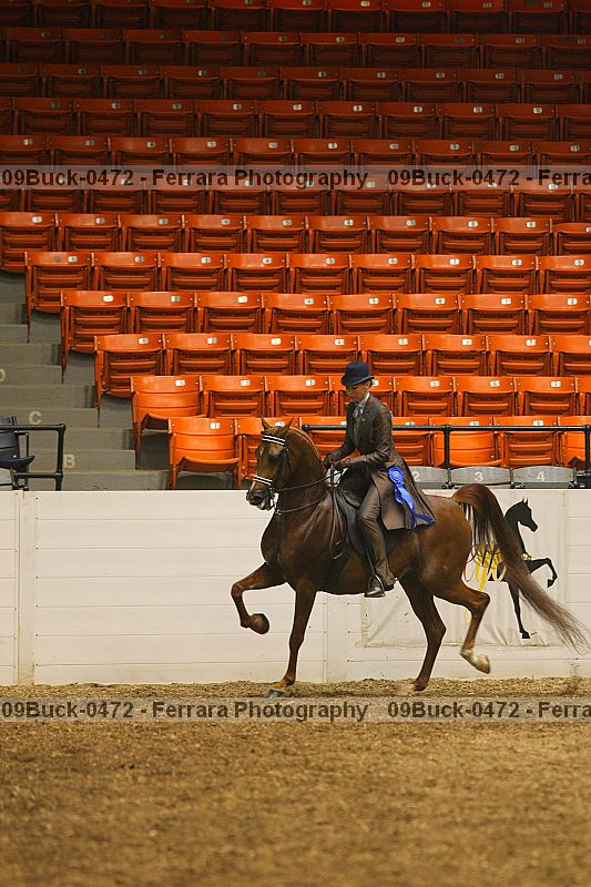 Proof 09buck-0472
