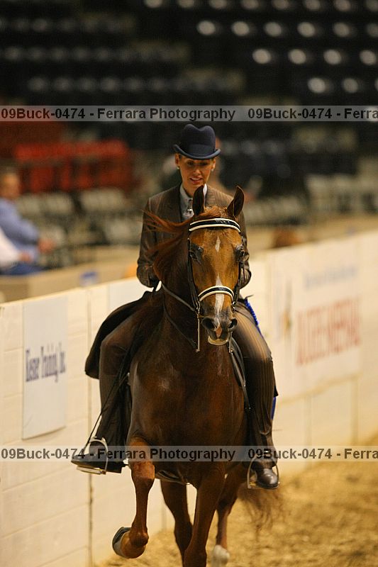 Proof 09buck-0474