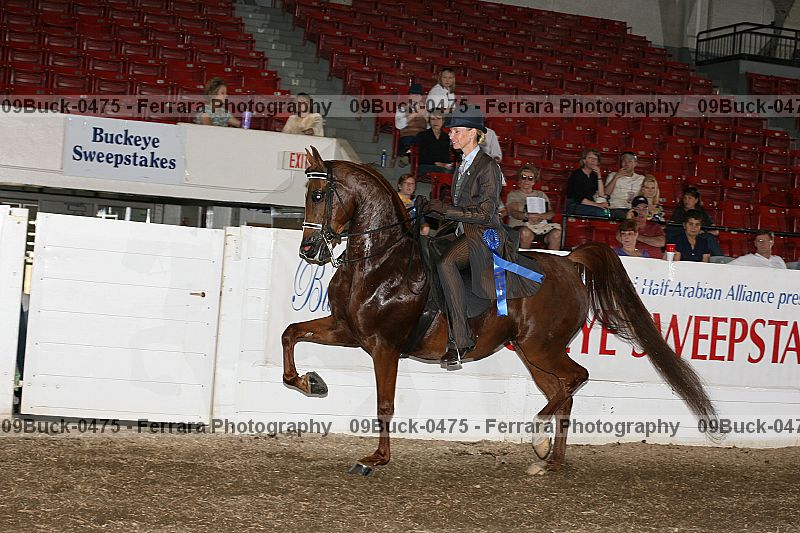 Proof 09buck-0475