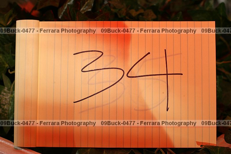 Proof 09buck-0477