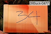 09buck-0477 proof