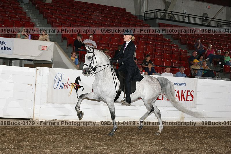 Proof 09buck-0479