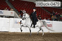 09buck-0479 proof