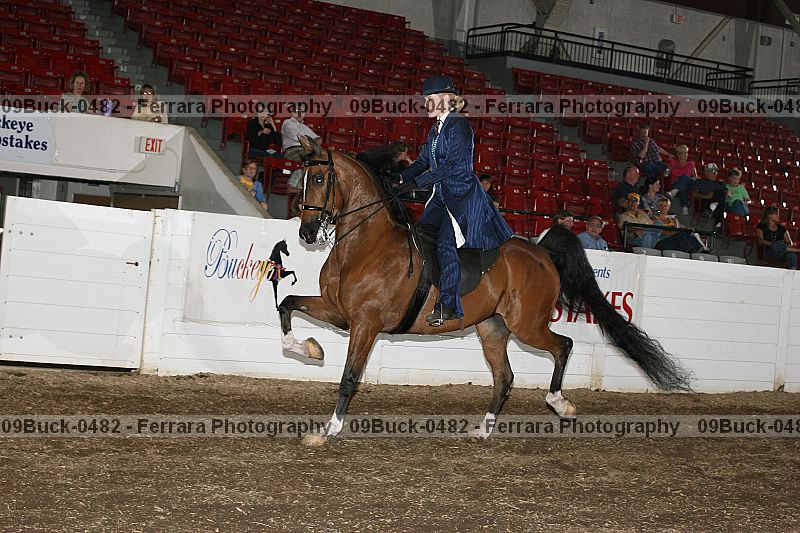 Proof 09buck-0482