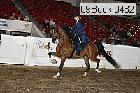 09buck-0482 proof