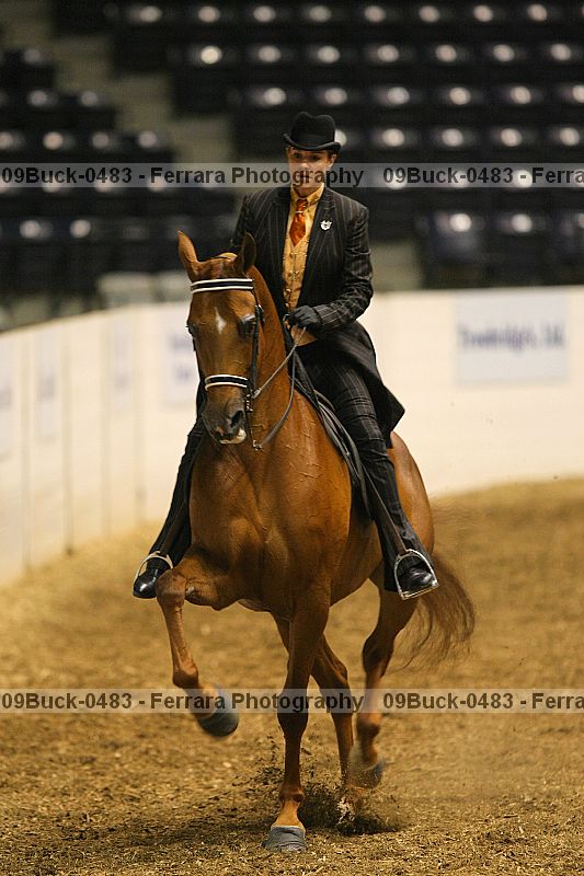 Proof 09buck-0483
