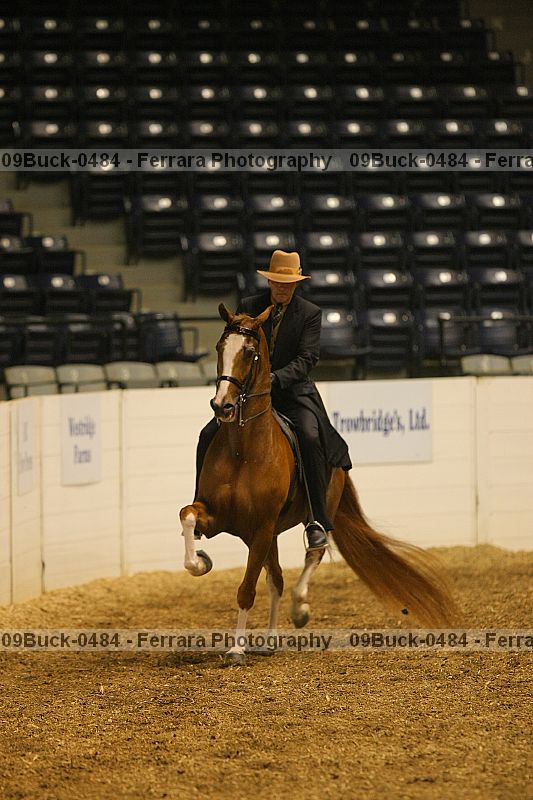 Proof 09buck-0484