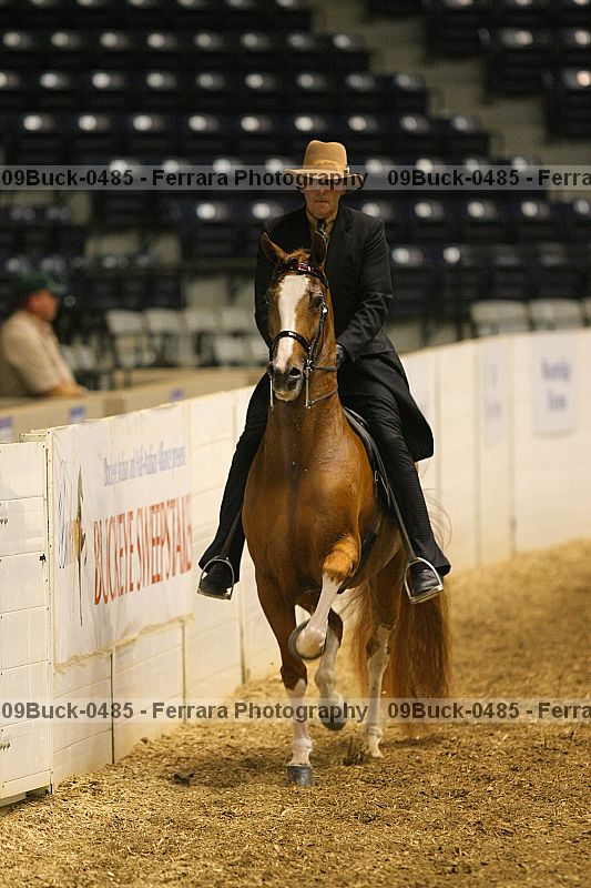 Proof 09buck-0485