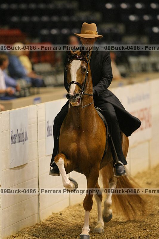 Proof 09buck-0486