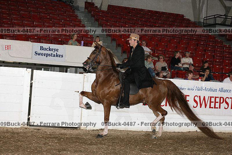 Proof 09buck-0487