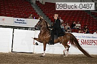 09buck-0487 proof