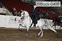 09buck-0488 proof