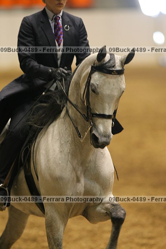 Proof 09buck-0489
