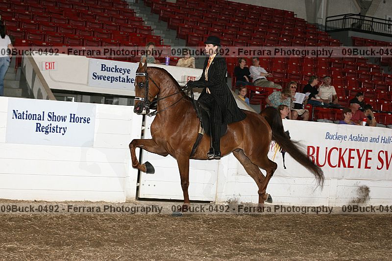 Proof 09buck-0492