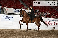 09buck-0492 proof