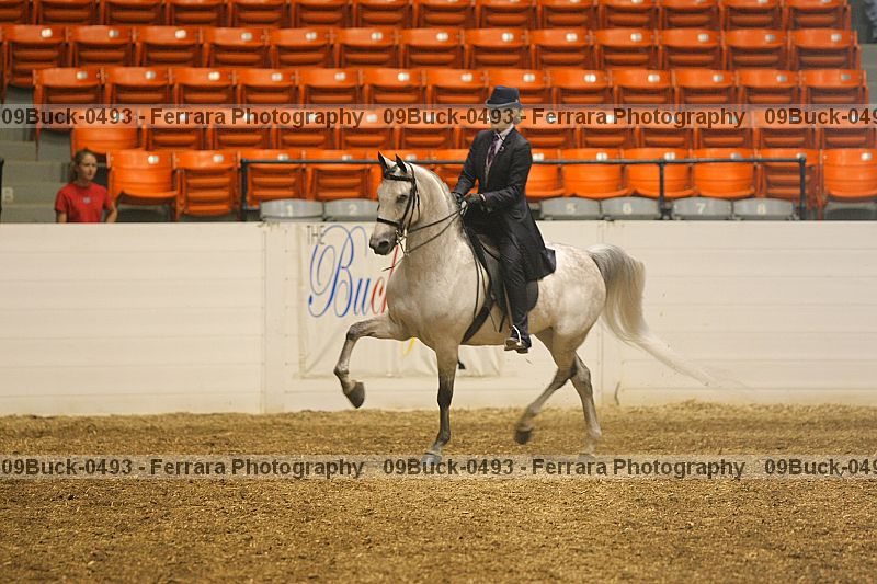 Proof 09buck-0493