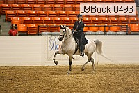 09buck-0493 proof