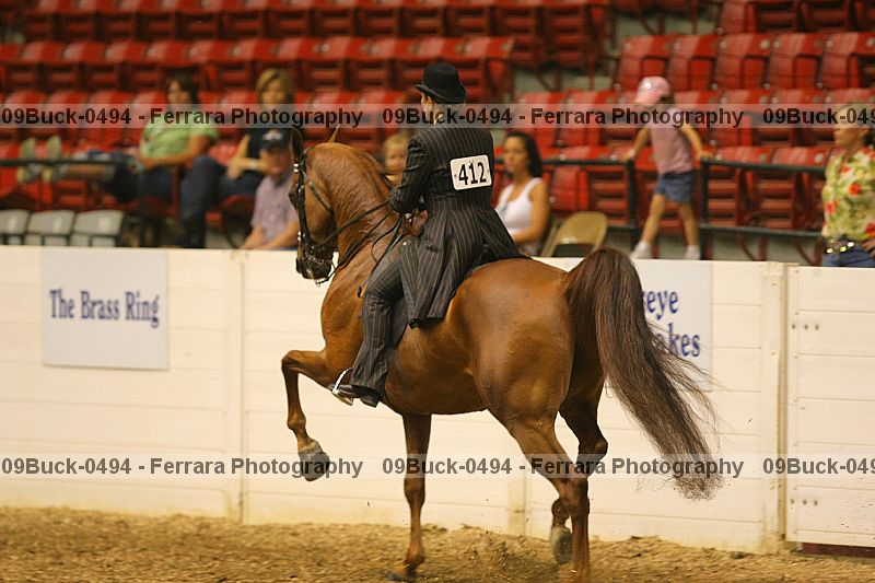 Proof 09buck-0494
