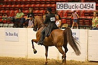 09buck-0494 proof