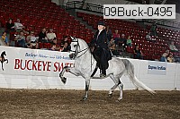 09buck-0495 proof