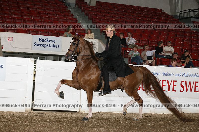 Proof 09buck-0496