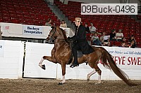 09buck-0496 proof