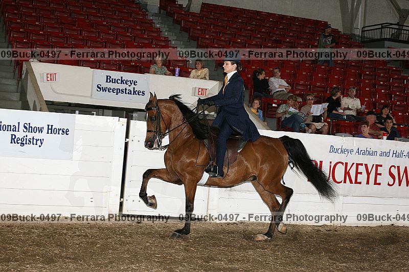 Proof 09buck-0497