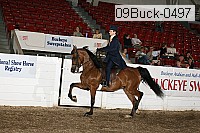 09buck-0497 proof