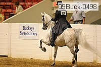 09buck-0498 proof