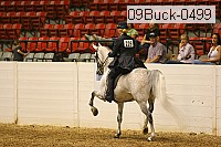 09buck-0499 proof