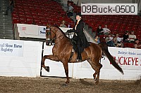09buck-0500 proof
