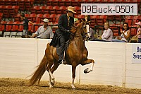09buck-0501 proof