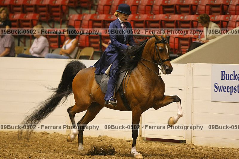 Proof 09buck-0502
