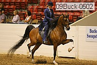 09buck-0502 proof